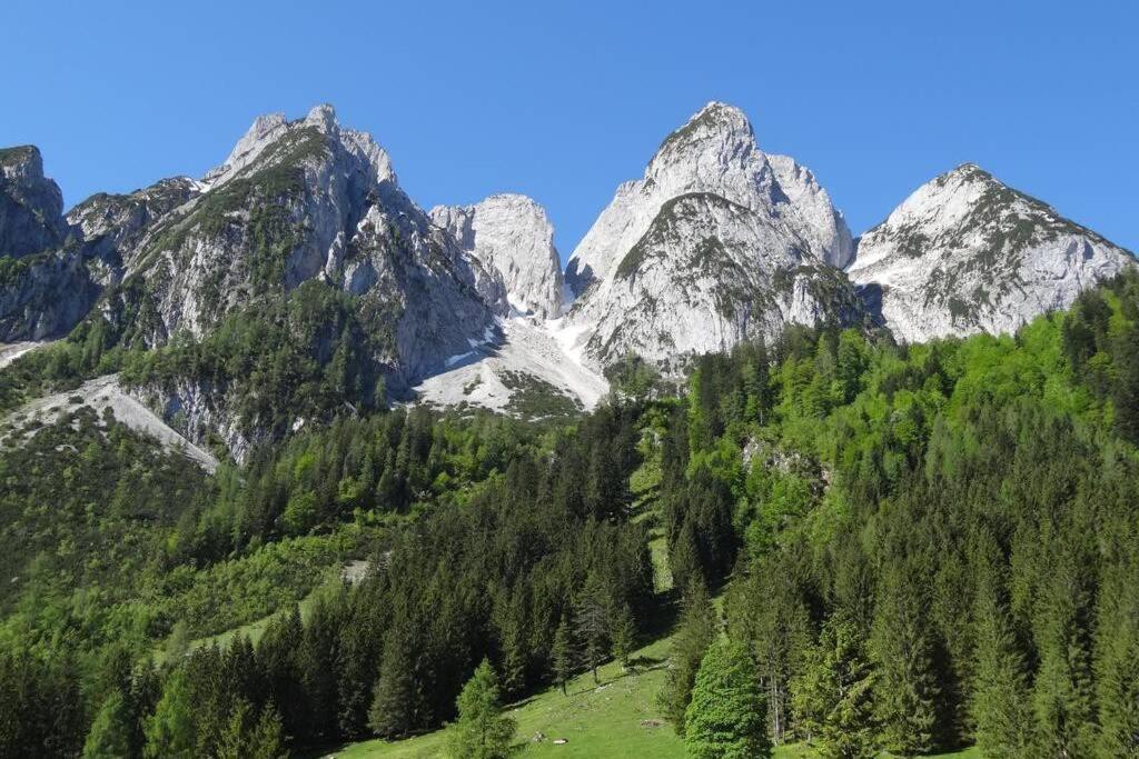 Das Almsternderl - Gemuetliche Wohnung In Gosau Esterno foto