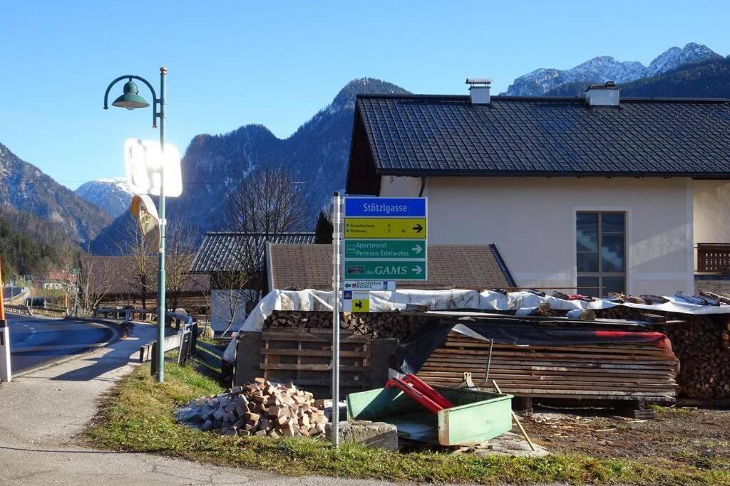 Das Almsternderl - Gemuetliche Wohnung In Gosau Esterno foto