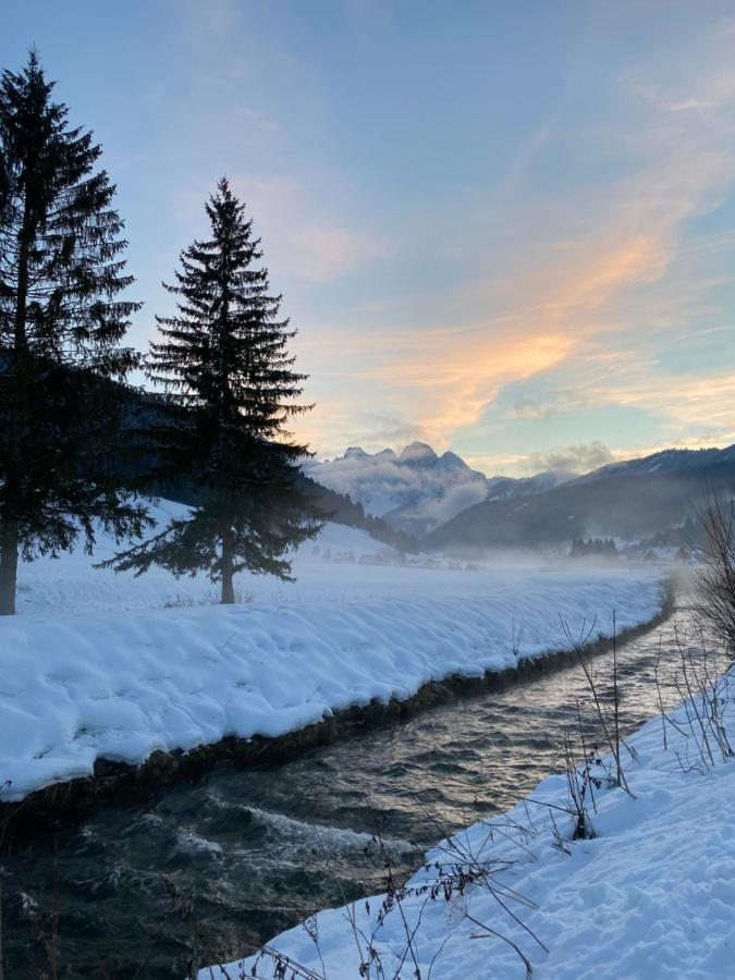 Das Almsternderl - Gemuetliche Wohnung In Gosau Esterno foto