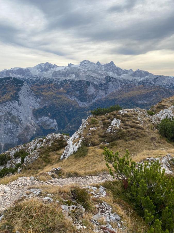 Das Almsternderl - Gemuetliche Wohnung In Gosau Esterno foto