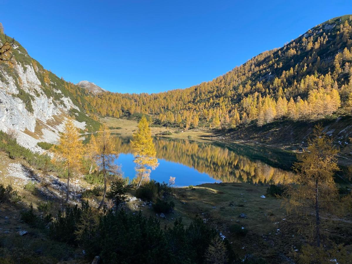 Das Almsternderl - Gemuetliche Wohnung In Gosau Esterno foto