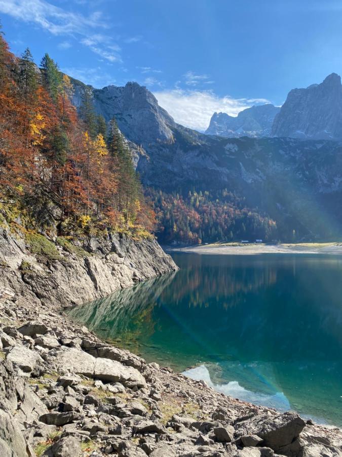 Das Almsternderl - Gemuetliche Wohnung In Gosau Esterno foto