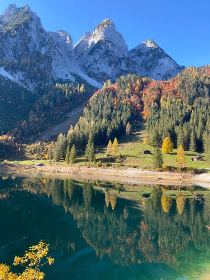 Das Almsternderl - Gemutliche Wohnung In Gosau Esterno foto