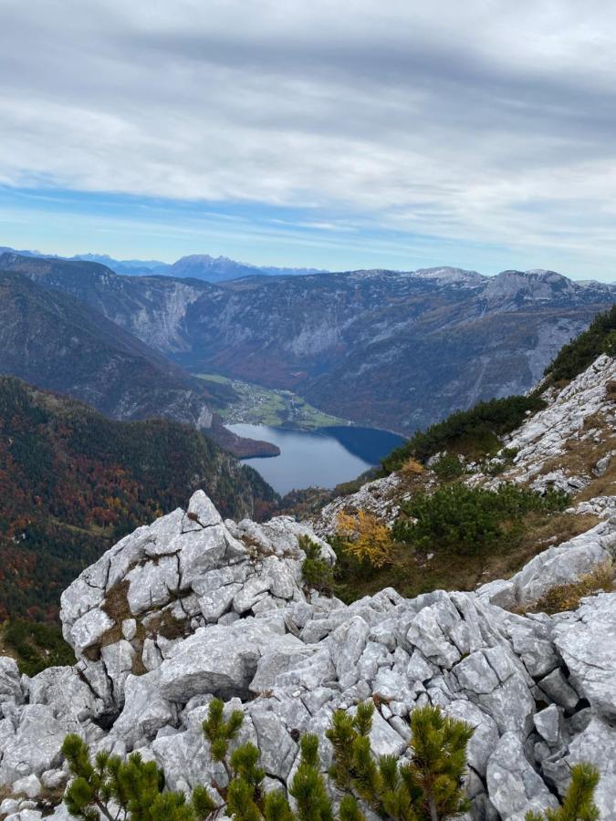 Das Almsternderl - Gemuetliche Wohnung In Gosau Esterno foto