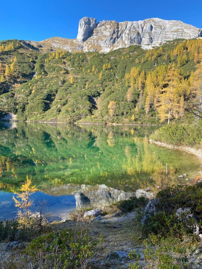 Das Almsternderl - Gemutliche Wohnung In Gosau Esterno foto