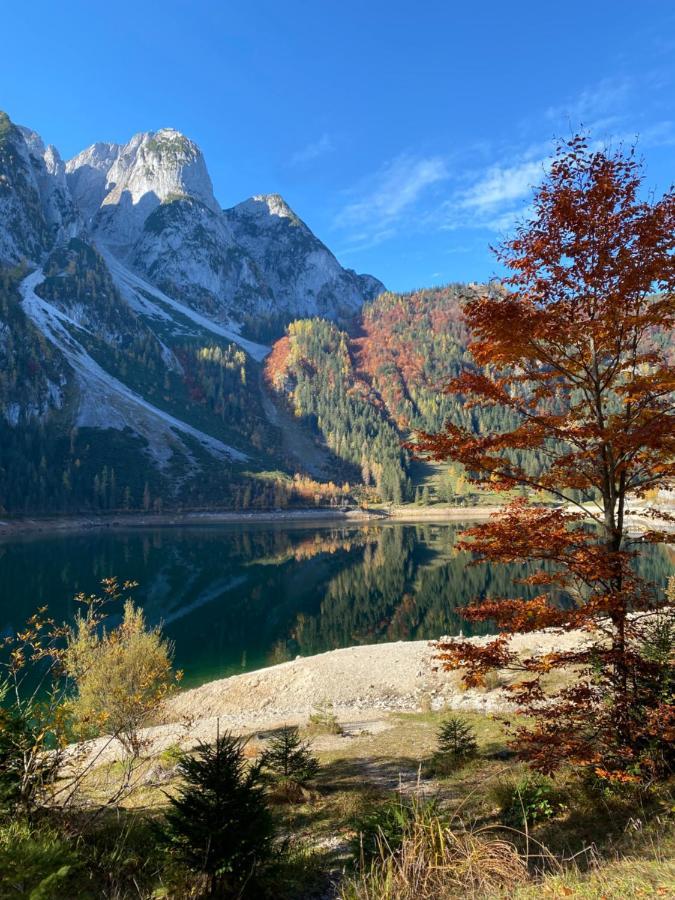 Das Almsternderl - Gemutliche Wohnung In Gosau Esterno foto