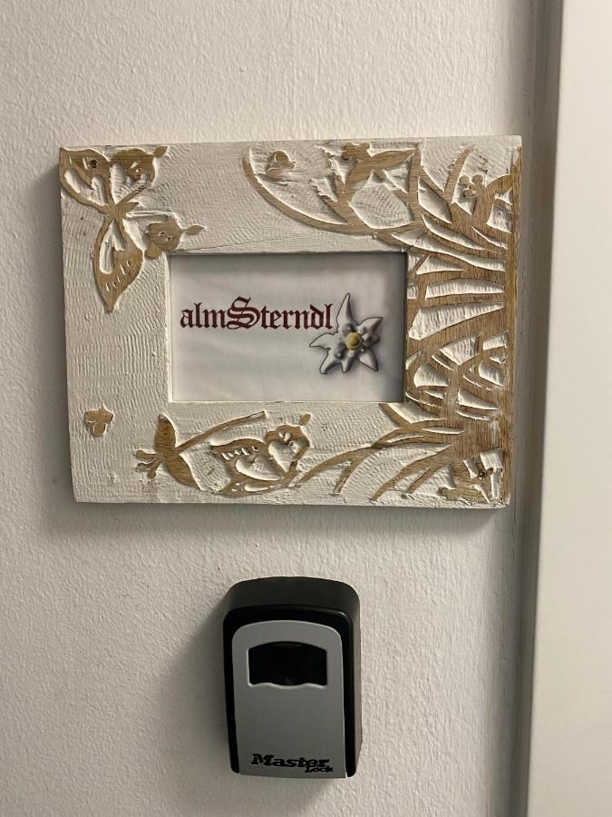 Das Almsternderl - Gemuetliche Wohnung In Gosau Esterno foto